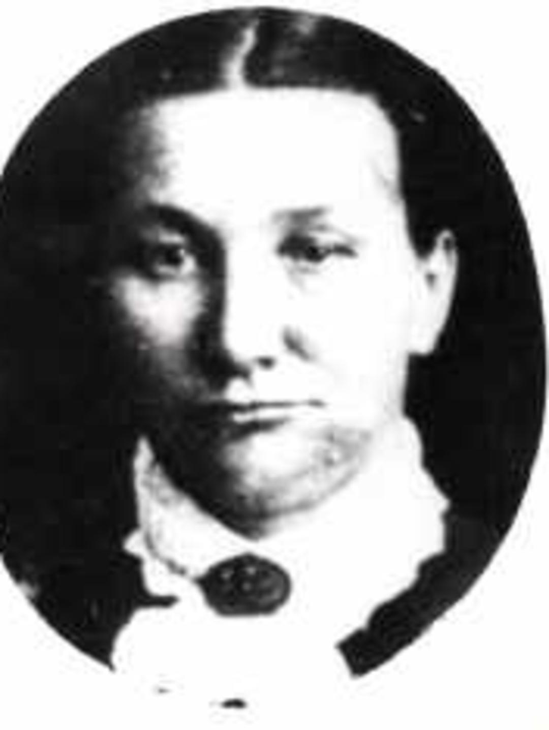 Louisa Wintch (1849 - 1908) Profile